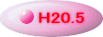 H20.5 