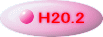 H20.2 
