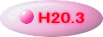 H20.3 