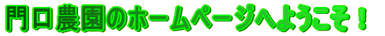 ����_���̃z�[���y�[�W�ւ悤�����I