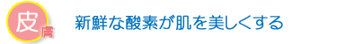 �畆�@�V�N�Ȏ_�f���������������