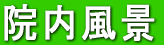 �@�����i 