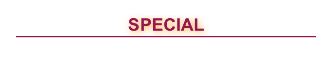 　天下二刀流　武蔵
SPECIAL  
￼