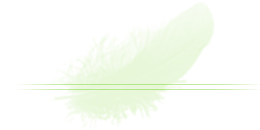 roVeB^Cg
