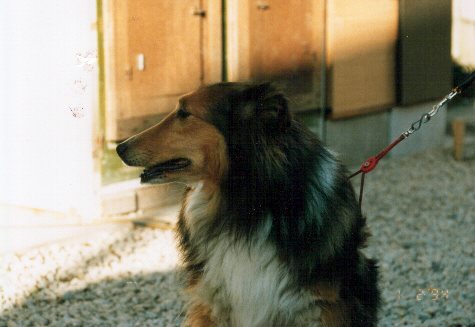 ���C������̎ʐ^