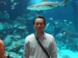 沖縄美ら水族館にて