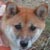 �ށX(7��10���B�e)�B�N���b�N����Ƒ傫���ʐ^��\�������B