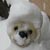�ށX(12��22���B�e)�B�N���b�N����Ƒ傫���ʐ^��\�������B