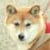 �ށX(1��10���B�e)�B�N���b�N����Ƒ傫���ʐ^��\�������B
