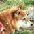 �ށX(1��10���B�e)�B�N���b�N����Ƒ傫���ʐ^��\�������B