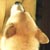 �ށX(1��10���B�e)�B�N���b�N����Ƒ傫���ʐ^��\�������B