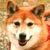 �ށX(4��8���B�e)�B�N���b�N����Ƒ傫���ʐ^��\�������B