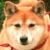 �ށX(4��8���B�e)�B�N���b�N����Ƒ傫���ʐ^��\�������B