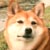 �ށX(4��8���B�e)�B�N���b�N����Ƒ傫���ʐ^��\�������B