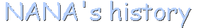 �ށX�̗���
