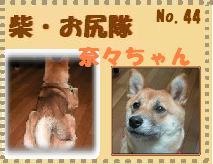 �āE���K��(No,44)�����