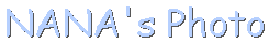 �ށX�̎ʐ^