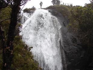oRȓ