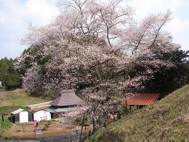 䐤̑