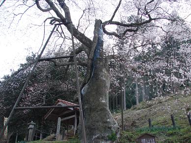 䐤̑