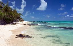 sea