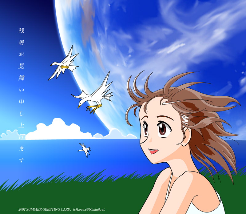 IWi SUMMER GREETINS ̎q