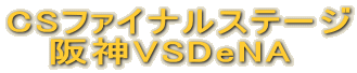 CS�t�@�C�i���X�e�[�W
��_VSDeNA�@�@
