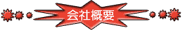 日生住宅会社概要