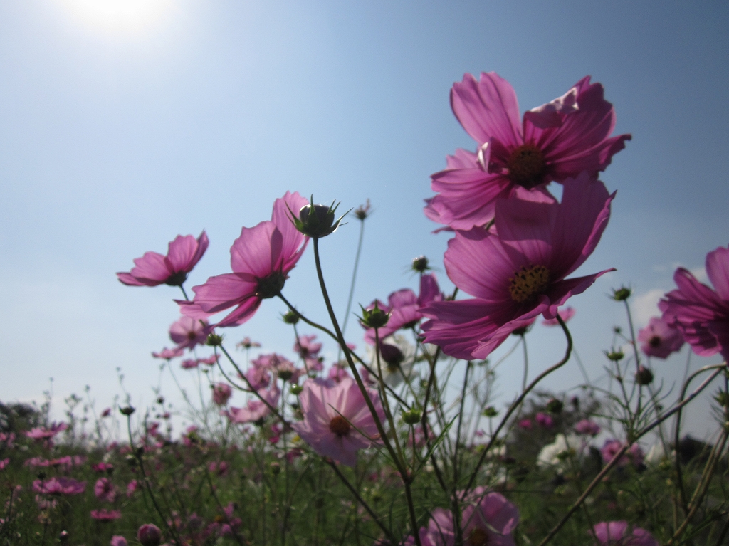 �K�`���R��