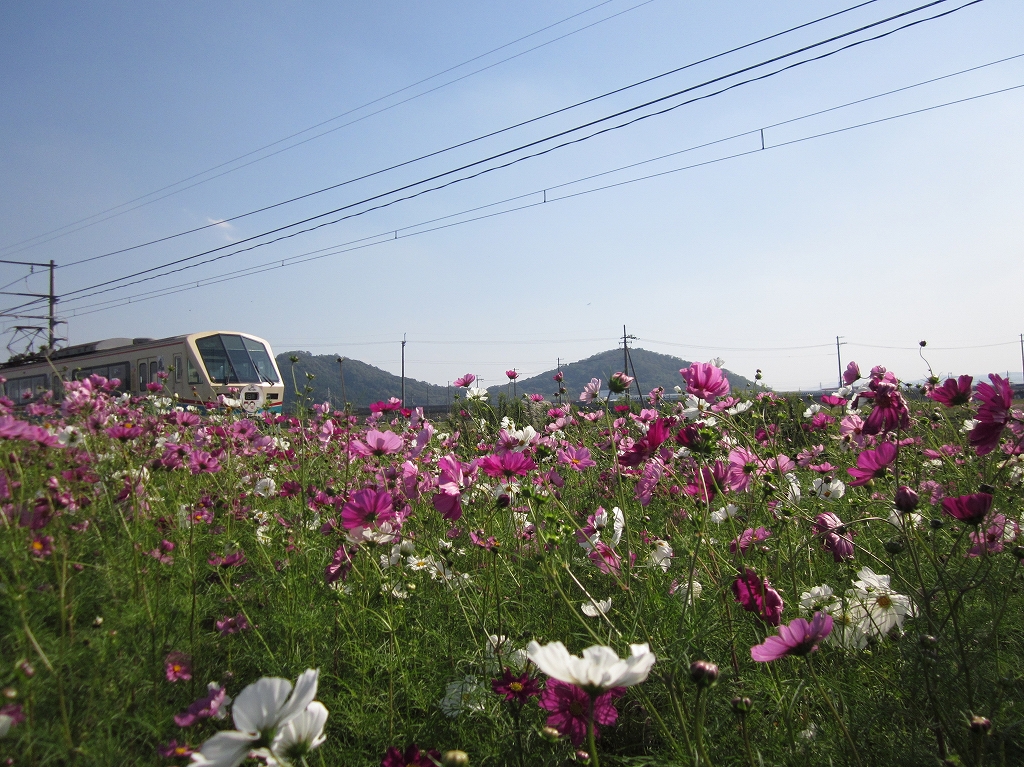 �K�`���R��