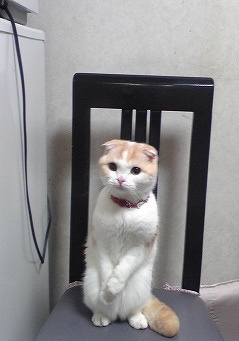 �����オ��ҁ[��