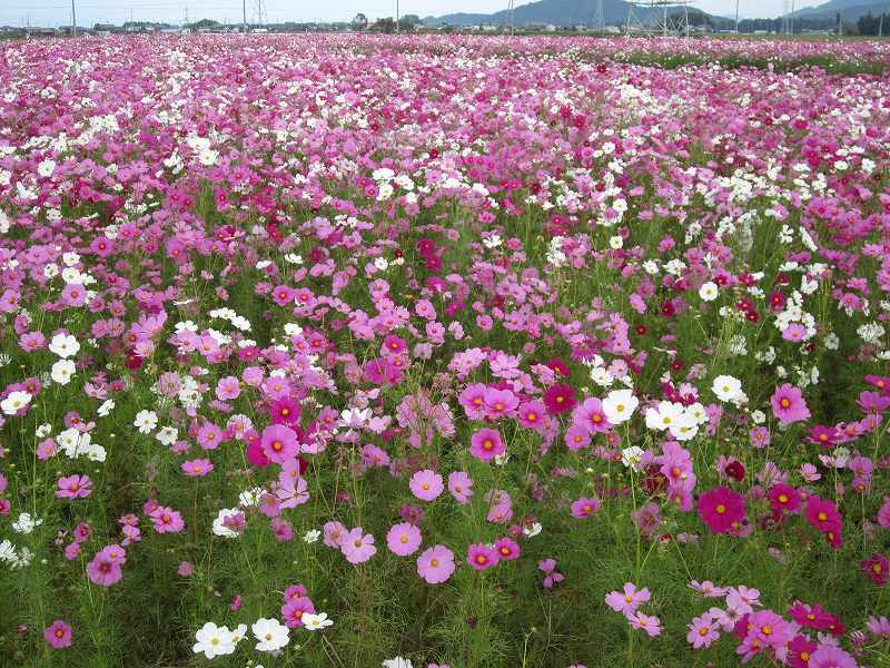 �K�`���R��