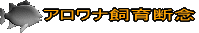アロワナ飼育断念