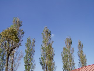�t���[��