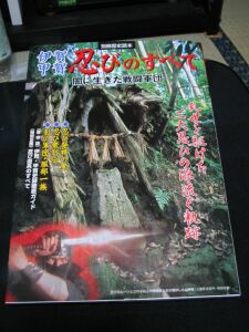 激しく忍者