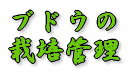uhE͔̍|Ǘ