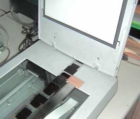 img/003.jpg