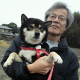 犬と僕