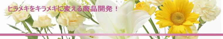 �q�����L���L�����L�ɕς��鏤�i�J���I