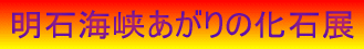 明石海峡あがりの化石展