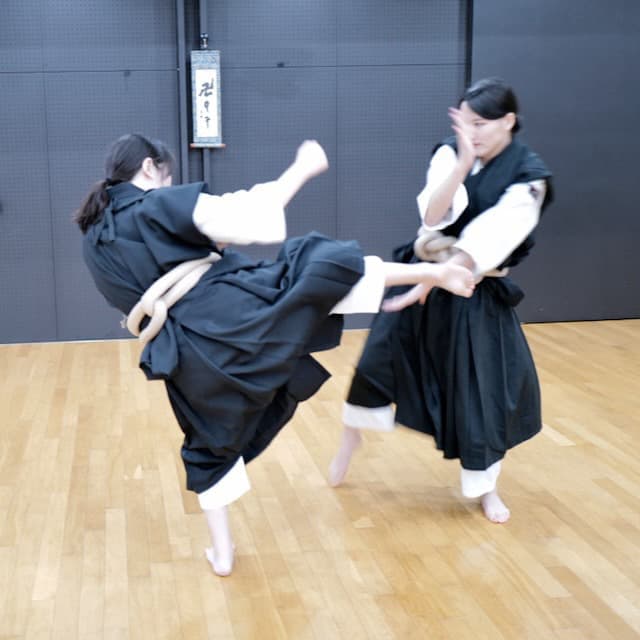 少林寺拳法,女性,大阪,拳士