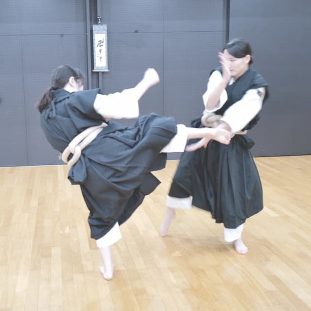 少林寺拳法,女性,大阪,拳士