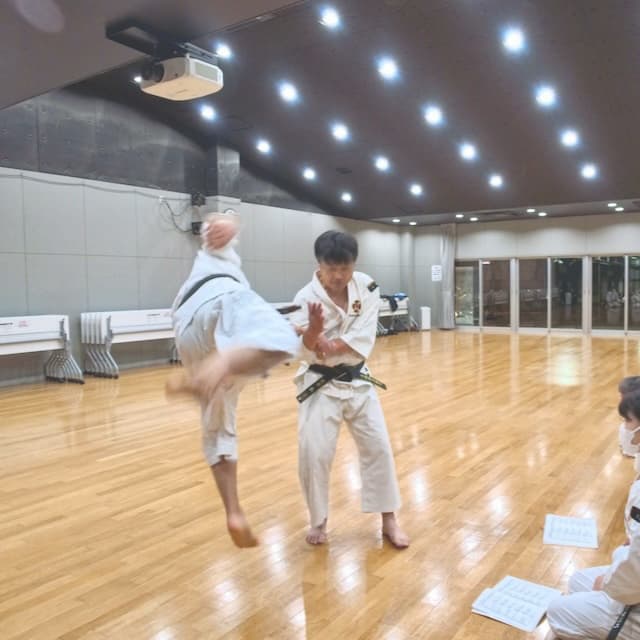 女性,少林寺拳法,大阪市