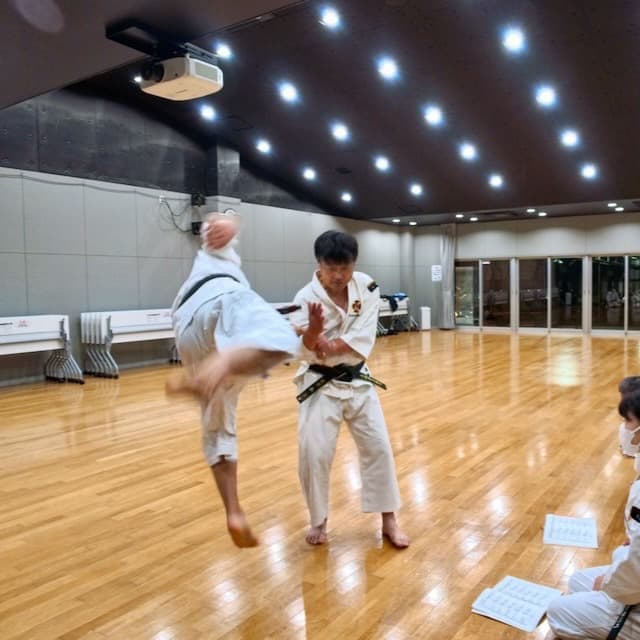 女性,少林寺拳法,大阪市