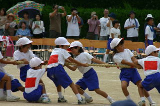 ぽんちゃんの運動会3