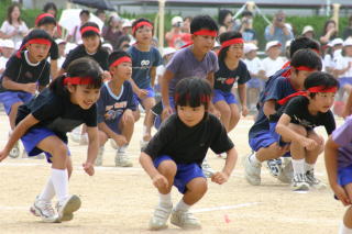 ぽんちゃんの運動会7