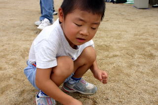 ぽんちゃんの運動会8