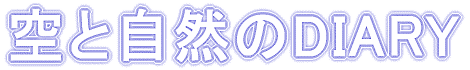 ƎRDIARY 