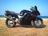 HONDA CBR1100XX