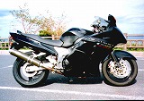'96CBR1100XX